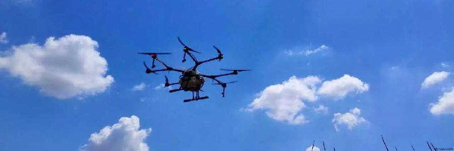 內蒙古玉米紅蜘蛛蟲害大爆發 農民從此相信無人機!